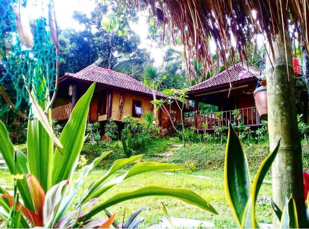 Apartament Sky Garden Lombok Tetebatu Zewnętrze zdjęcie