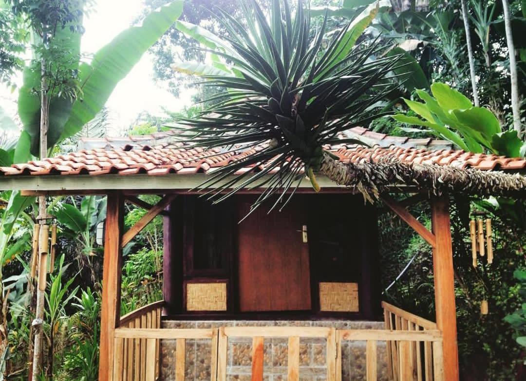 Apartament Sky Garden Lombok Tetebatu Zewnętrze zdjęcie