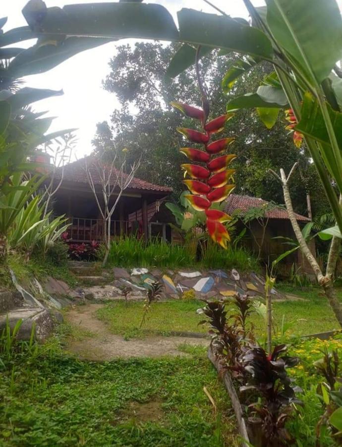 Apartament Sky Garden Lombok Tetebatu Zewnętrze zdjęcie