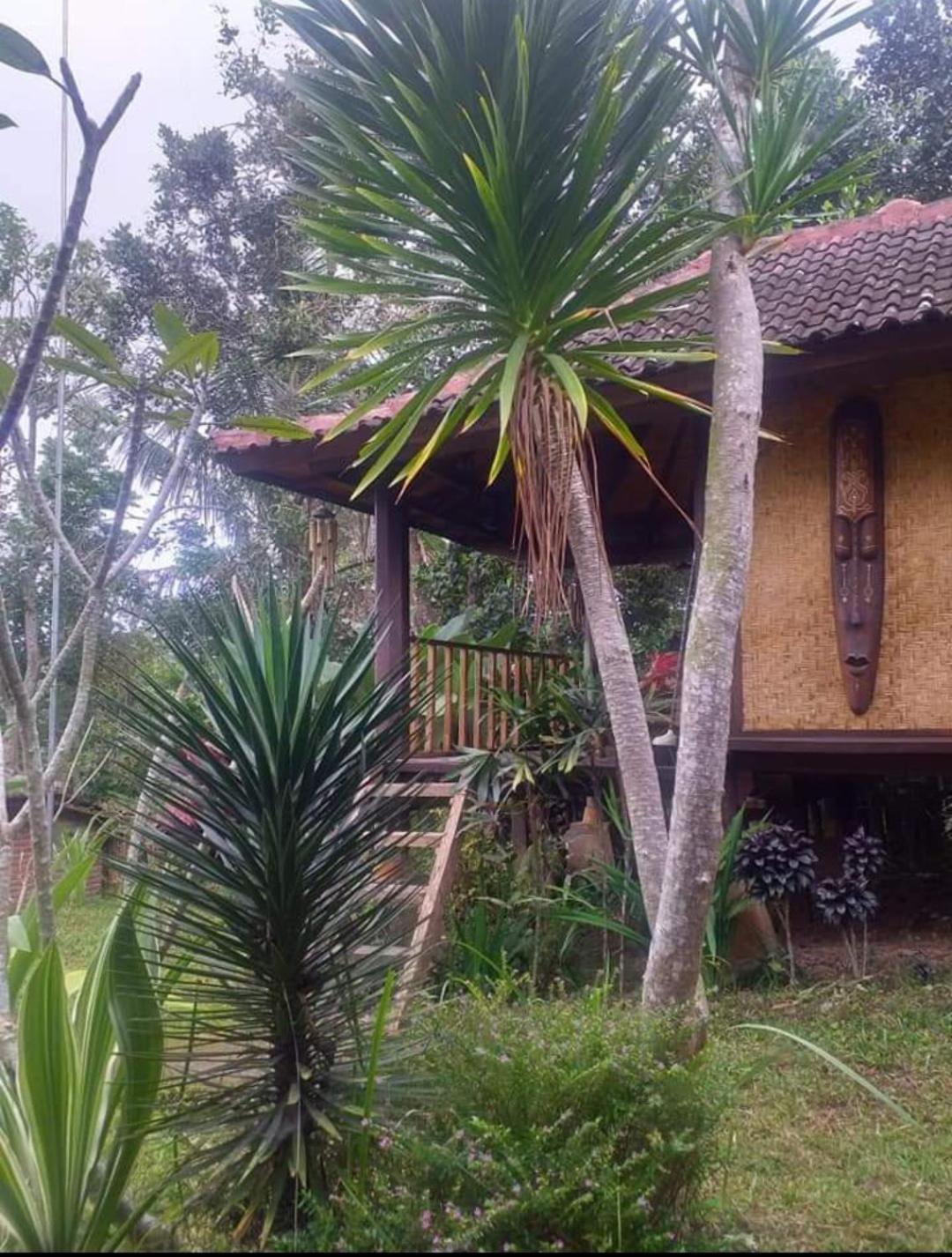 Apartament Sky Garden Lombok Tetebatu Pokój zdjęcie